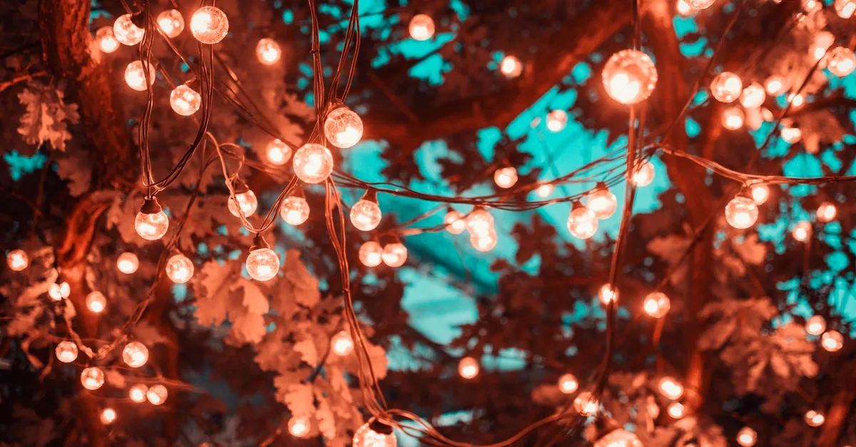 Feest met lichtjes